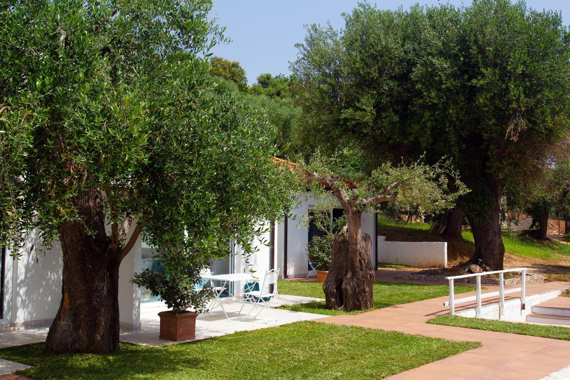 Donnasilia Bed and Breakfast Palinuro Buitenkant foto