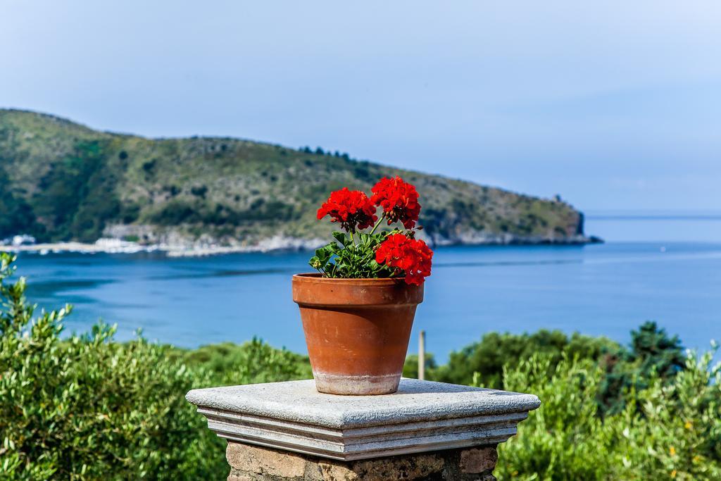 Donnasilia Bed and Breakfast Palinuro Buitenkant foto